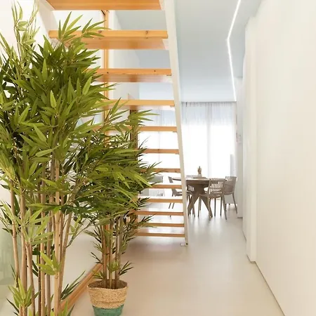 Duplex With Solarium And Pool Playa de Gandía